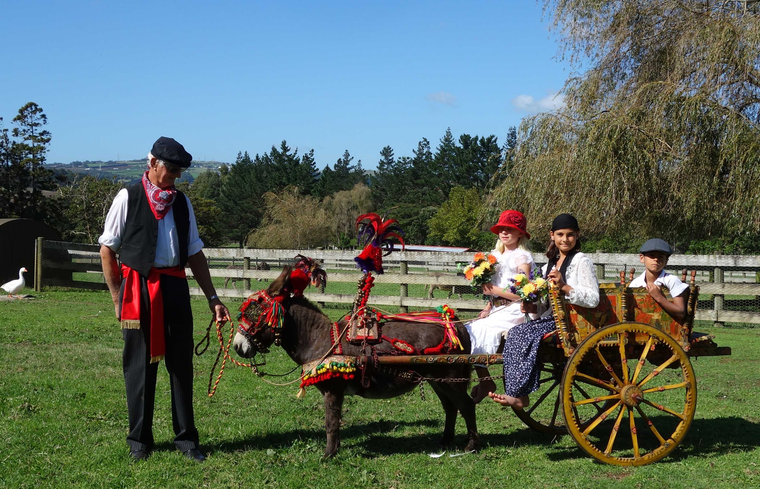 Clovercrest Panache pulling our rare antique 1928 Sicilian Donkey Carretto.